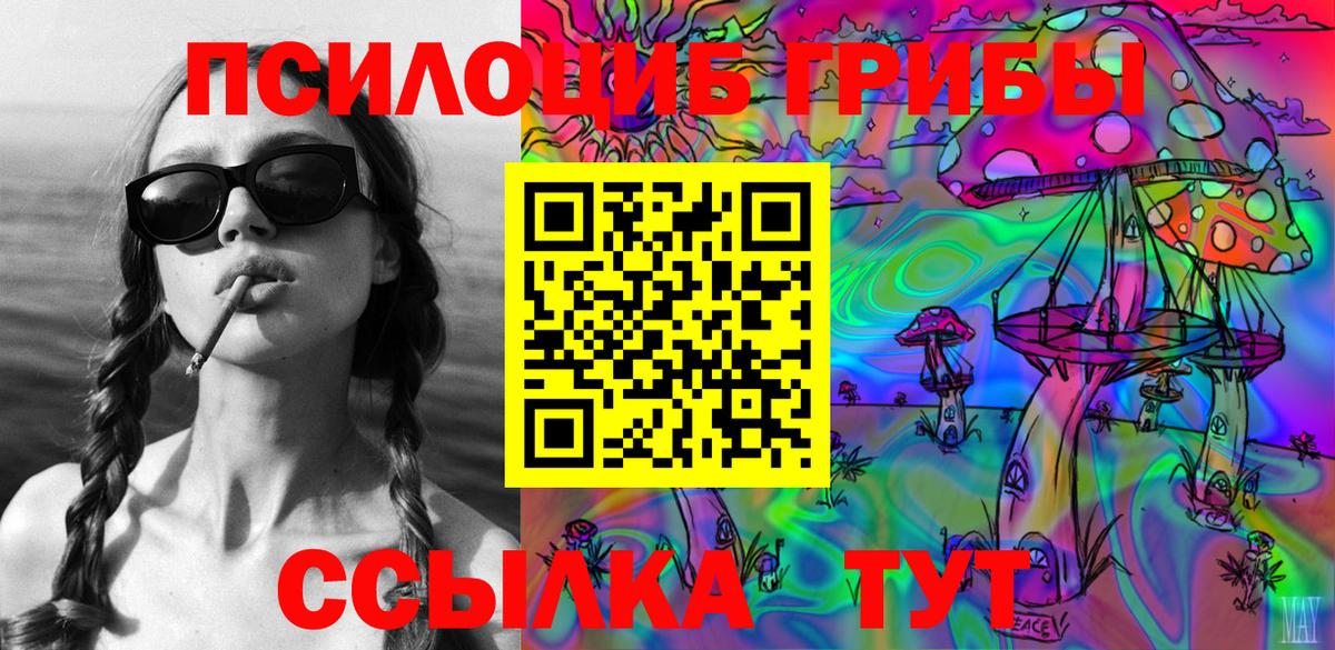 Галлюциногенные грибы Magic Shrooms  Псилоцибиновые грибы GOLDEN TEACHER  Вход с VPN  Мичуринск 