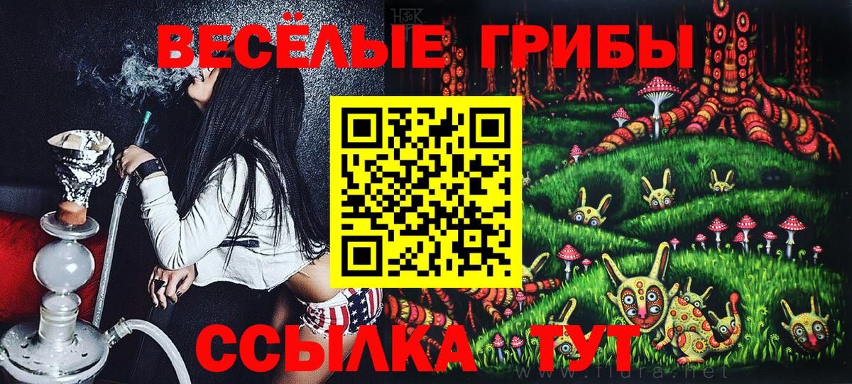 Галлюциногенные грибы мухоморы Мичуринск